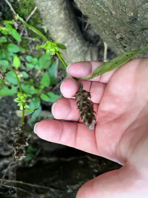 Self-heal